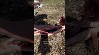 How To Gut A Fish