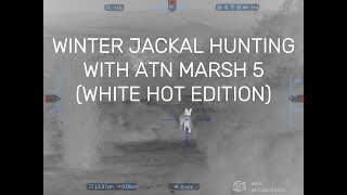 White Hot Winter Jackal Hunting In The Karoo