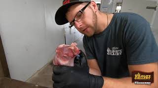 Turning Fleshing And Salting For Taxidermy