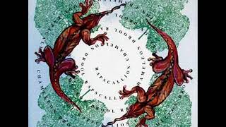Rapscallion-Chameleon Droolfull Album