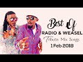 Best Of Radio & Weasel Tribute Mix Songs 2018