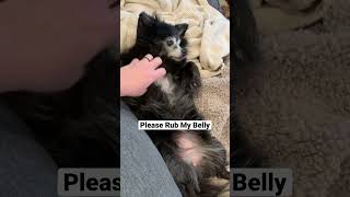 Please Rub My Belly Puppy Songs
