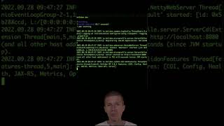 A Microservice From Scratch With Helidon