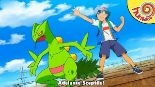 Ash Sceptile Return Ash Remember Darkrai Vs Sceptile Battle..