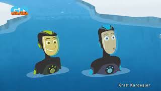 Kratt Kardeşler 4.Sezon 13.Bölüm