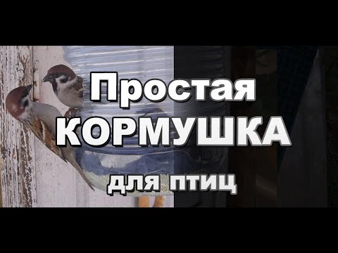 Как сделать брудер для выращивание цыплят Как сделать брудер для выращивание цыплят