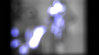 Zach Hill//"With Thorns for Lovers in the Dark"