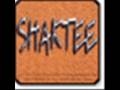 Shaktee - Akhian - Album Something Old, Something new