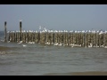 zeeland
