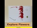 Explore Flowers | ThinkTac | #YouTubeShorts #DIY #Short #DIYscience