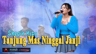Download lagu Shepin Misa - Tanjung Mas Ninggal Janji | aku seh kelingan | Dhehan Audio - Om SAVANA Blitar