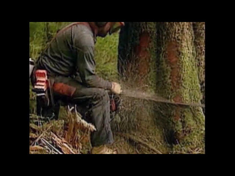 Coldcut Timber
