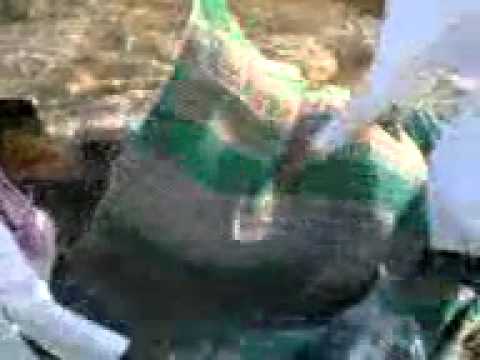 ajuba of saudi allah ka karishma