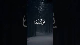Yusuf Suresi̇ 17. Ayet İslam Sobhy
