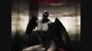 Watch My Dying Bride The Prize Of Beauty video