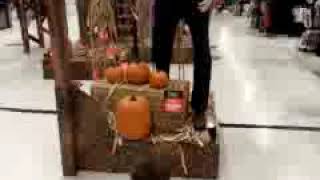 Halloween Michael Myers