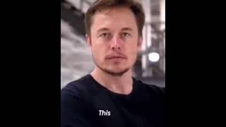 This, Is Elon Musk