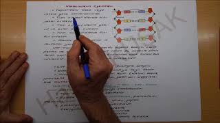 Genden Proteine - Nükleik Asitler ve Protein Sentezi #1 (Nükleotitler ve DNA)