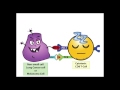 A PD 1 Inhibitor Fairy Tale