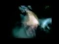 Blink-182 I Miss You (Tom's Verse 10 Hour Loop) Blink-182 I Miss You (Tom's Verse 10 Hour Loop)
