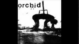Watch Orchid A Written Apology video