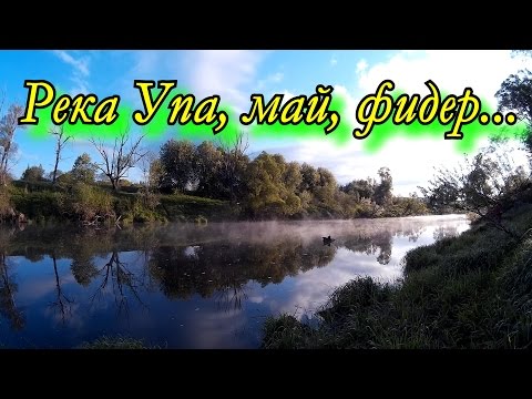 ловля карпа на реке упа ловля карпа на реке упа