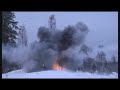 puolustusvoimat
