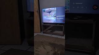 Allossauro De Cursed Isle Allossauro Novo Vs Allossauro Antigo