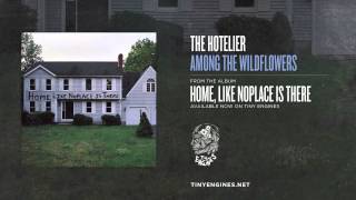 Watch Hotelier Among The Wildflowers video
