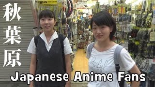 What Anime Do Japanese People Like? (Akihabara Interview)