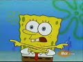Yank Dat Cameltoe Spongebob