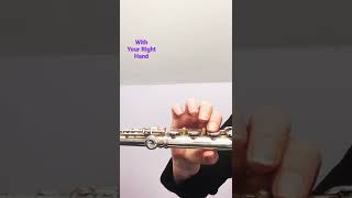 How to hold the flute WITH ONE HAND #learnflute