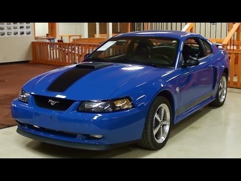 03 Mustang Mach #1 Weight Loss Product