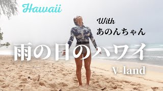 試合前のガールズ。野生の豚。雨風の中撮影ありがとう!