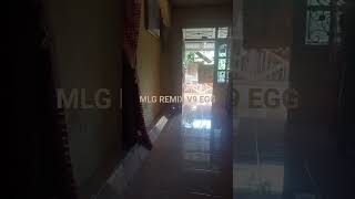 Mlg Remix V9 Egg