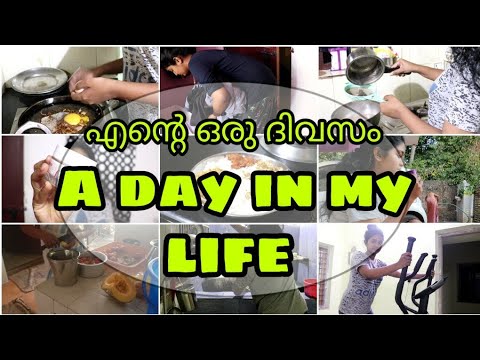A Day In My Life As a Youtuber||How I manage my YouTube work, Cooking,studies etc.|Malayali Youtuber