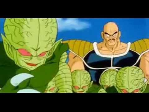 I do not own dragonball dragon nappa dragon ball. I do not own dragonball dragon