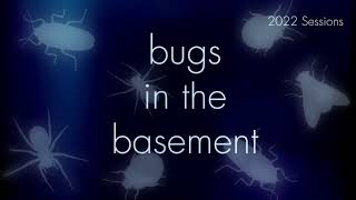 Bugs In The Basement- Eriophyes Pyri aka The Pearleaf Blister Mite
