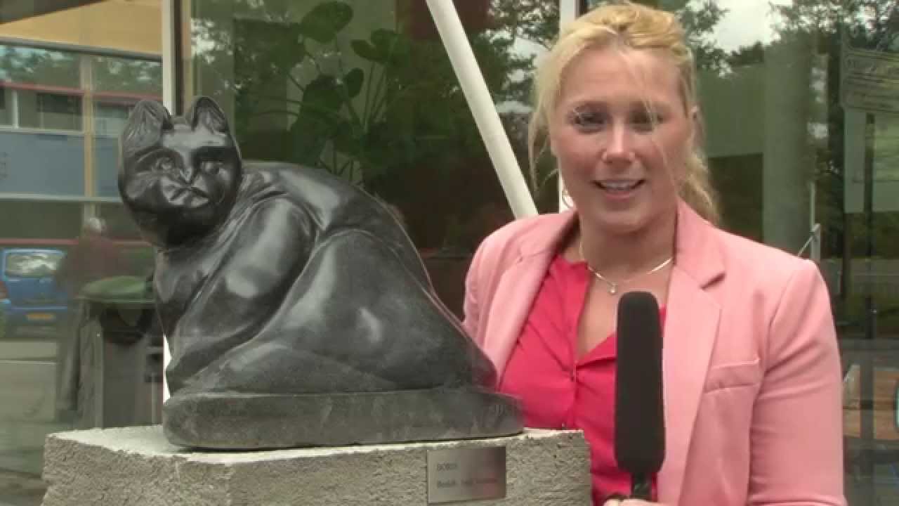 Reportage over Helden uit Hilversum