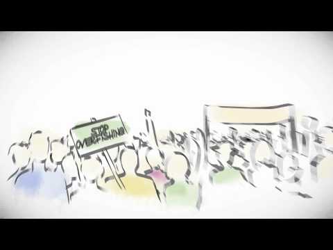 Stop Bankrupting Our Oceans