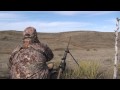 Coyote Hunting - Predator Hunting - Bucking The Odds Video 26