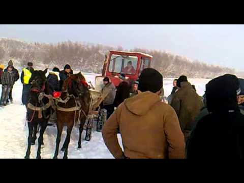 Watch bataia cailor 2
