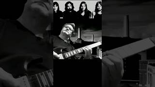 Pigs (Three Different Ones) Pink Floyd #Shortsmusic #Pinkfloyd #Videosrock
