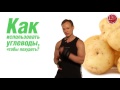 Спортивная диета (Владимир Молодов) Спортивная диета (Владимир Молодов)
