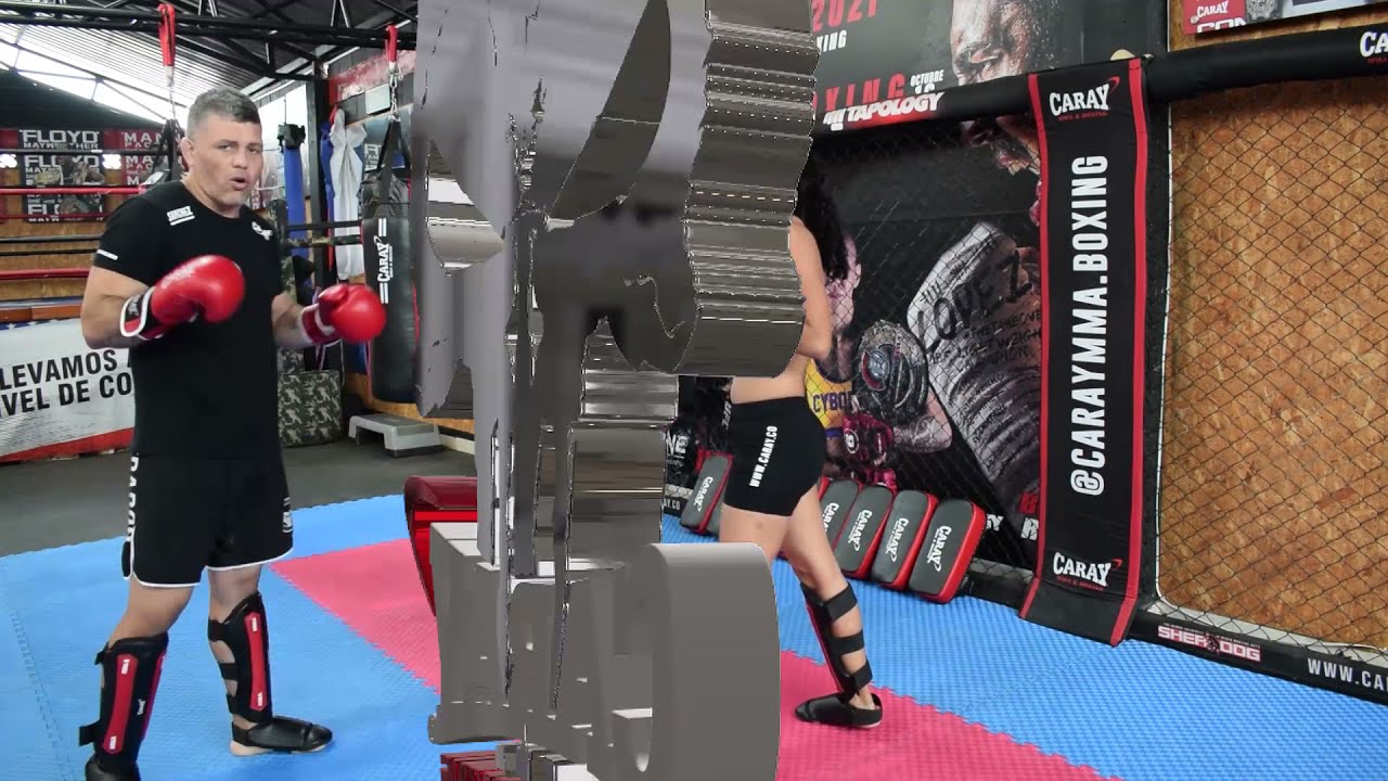 Guía Rápida Combinación de golpes básicos con bloqueo de Low kick
