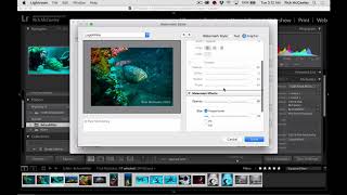 12Copyright&Watermark