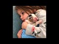 Funny Animals Doing Funny ThingsBest Funny Compilation