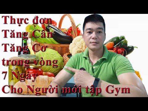 Thực đơn tăng cân tăng cơ tham khảo 2400 calo dành cho người gầy mới tập Gym