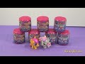 My Little Pony & Littlest Pet Shop Fash 'Ems from Daisy's Toy Vlog! Opening by Bin's Toy Bin