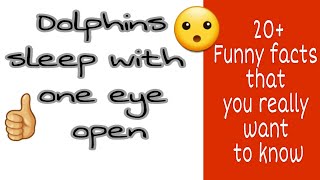 21 Interesting & Funny facts that you may not know! /M the LEARNING GUIDE.
